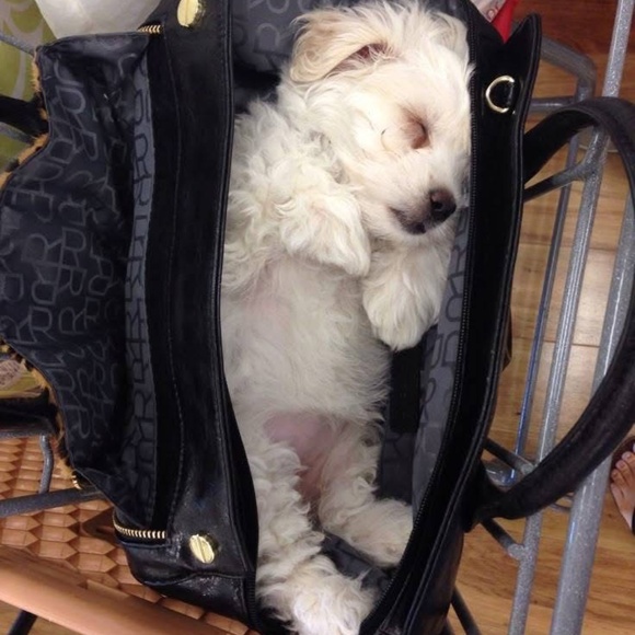 Meet your Posher, Christine - Picture 1 of 2